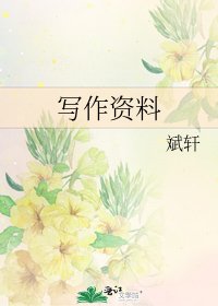 写作资料