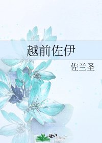 越前佐伊