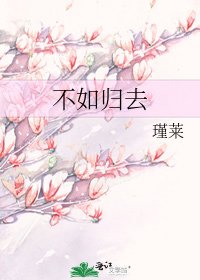 不如归去