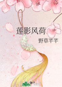 《莲影风荷》