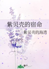 《紫贝壳的宿命》