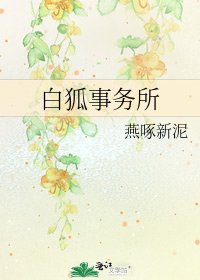白狐事务所
