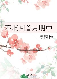不堪回首月明中