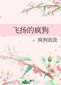 飞扬的疯狗
