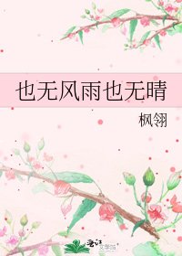 也无风雨也无晴