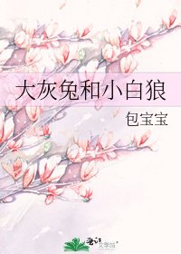 大灰兔和小白狼