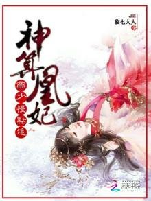 《神算帝凰》