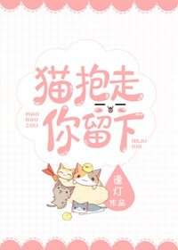 猫抱走,你留下