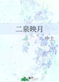 二泉映月
