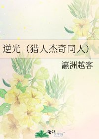 《逆光(猎人杰奇同人)》
