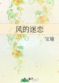 风的迷恋
