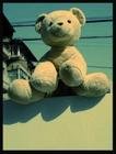 生活