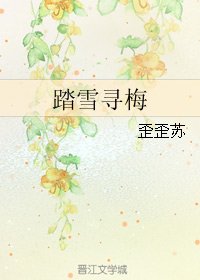 踏雪寻梅