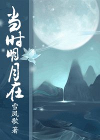当时明月在