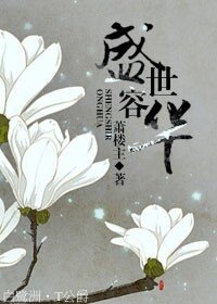 盛世容华