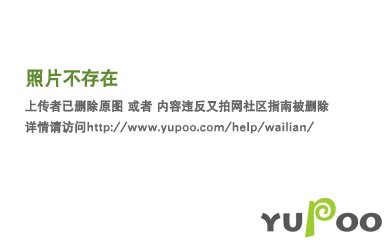 [猎人]白夜叉与黑蜘蛛