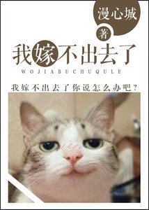 《我嫁不出去了》