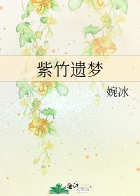 紫竹遗梦