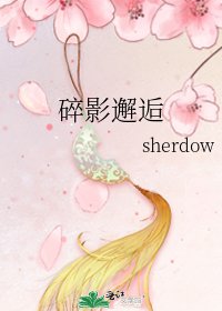 碎影邂逅