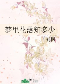 《梦里花落知多少》