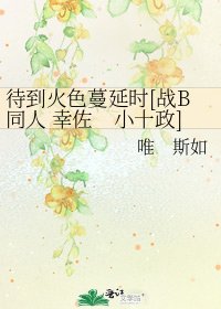 待到火色蔓延时[战B同人 幸佐　小十政]