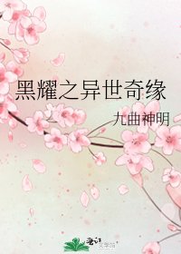 黑耀之异世奇缘