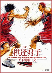 （SD同人）棋逢对手