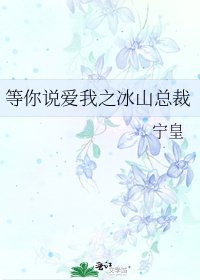 等你说爱我之冰山总裁