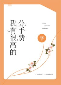 《我有很高的分手费》