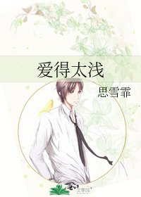 《爱得太浅》