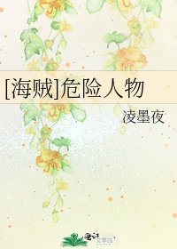 [海贼]危险人物