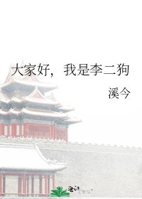大家好，我是李二狗