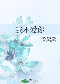 我不爱你