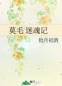 莫毛 迷魂记