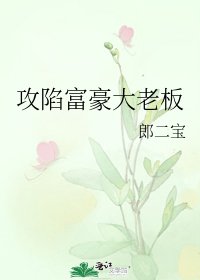 《攻陷富豪大老板》