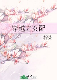 穿越之女配