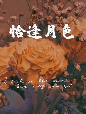 恰逢月岸
