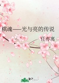 棋魂——光与亮的传说
