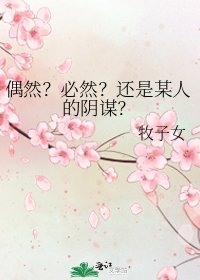 偶然?必然?还是某人的阴谋?