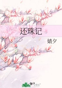 还珠记