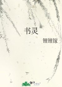 书灵