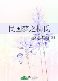 民国梦之柳氏