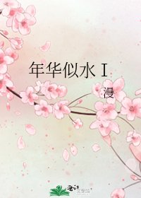 年华似水Ⅰ