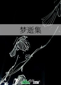 梦逝集