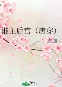 谁主后宫（唐穿）
