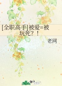 [全职高手]被爱=被玩死？！