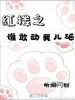 （红楼同人）红楼之谁敢动我儿砸