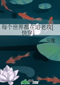 每个世界都在追老攻[快穿]