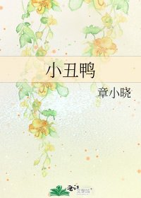 小丑鸭