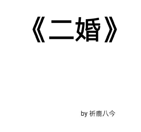 二婚